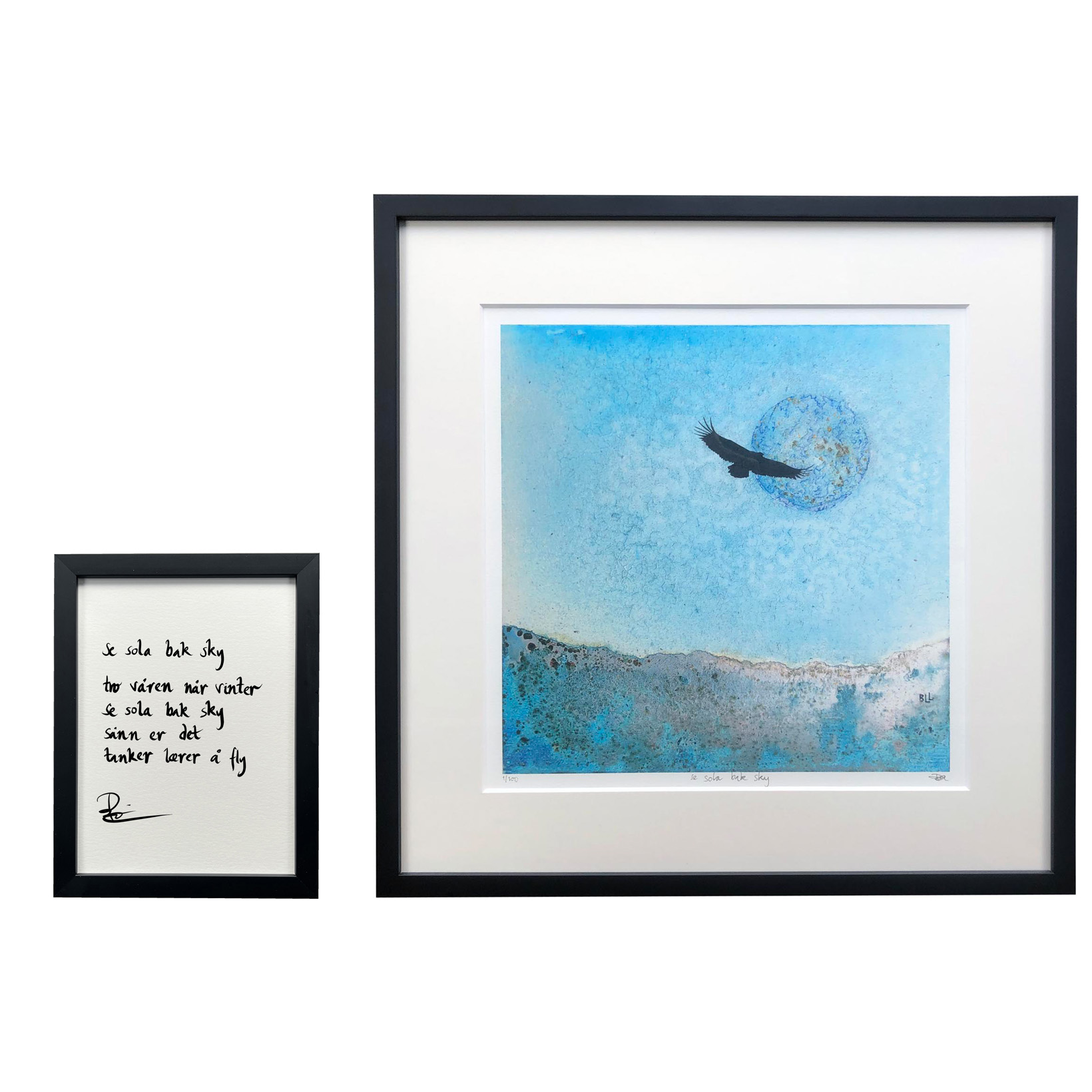 "se sola bak sky", dikt
