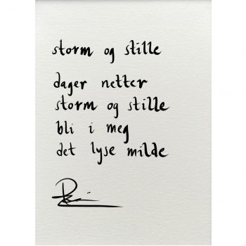 "storm og stille", dikt