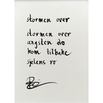 "stormen over", dikt