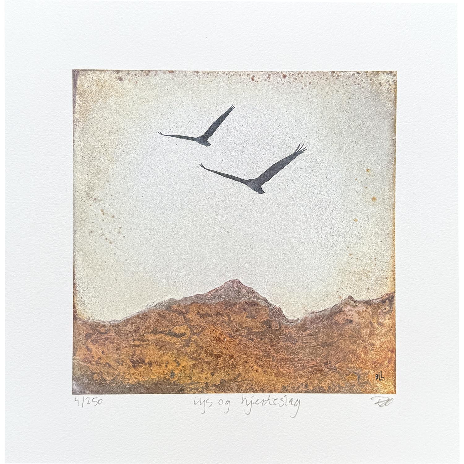 "lys og hjerteslag", trykk