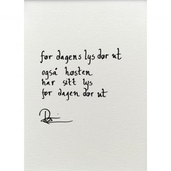 "før dagens lys dør ut", dikt