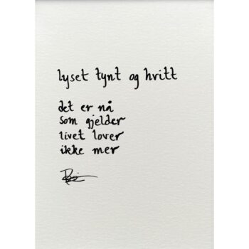 "lyset tynt og hvitt", dikt